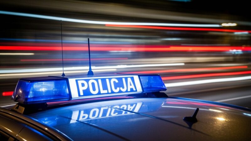 Brutalna zbrodnia w Strzelinie: Mężczyźni zatrzymani za bestialskie zabicie psa