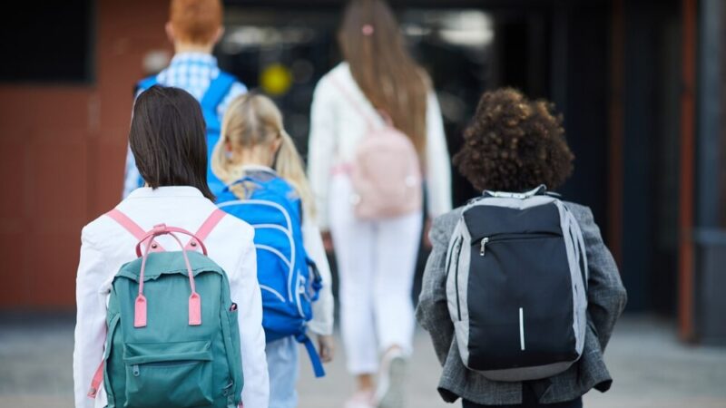 Cyfrowe warsztaty dla seniorów – odkryj nową rzeczywistość!