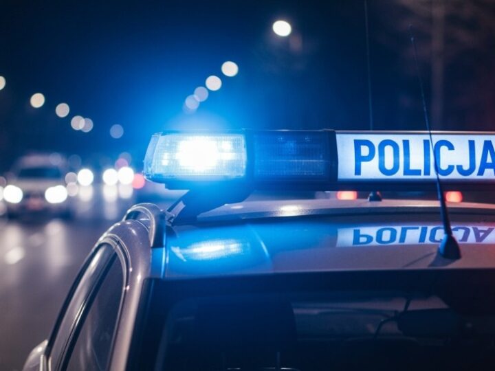 Czworonożni bohaterowie w akcji: Dolnośląskie mistrzostwa kynologiczne!