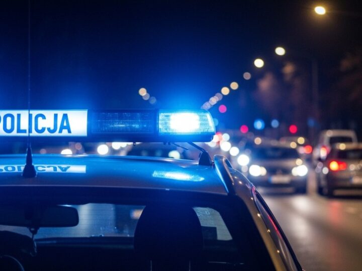Mołdawianin ujęty po nocnej wizycie w prywatnym domu w Górze