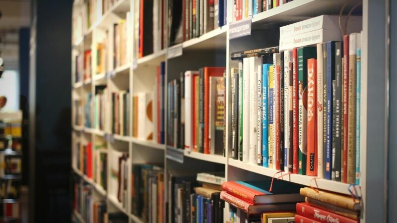 Literackie spotkanie z autorką „Jeżynki” w Sobótce!