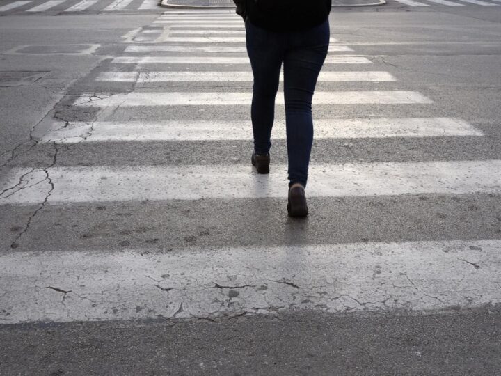 Policja ratuje koźlę sarny na ruchliwej ulicy w Legnicy