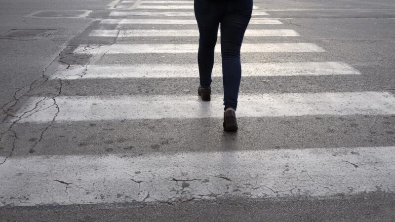 Policja ratuje koźlę sarny na ruchliwej ulicy w Legnicy