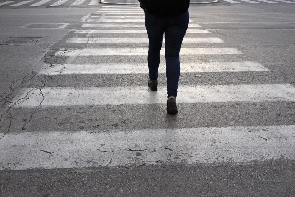 Policja ratuje koźlę sarny na ruchliwej ulicy w Legnicy