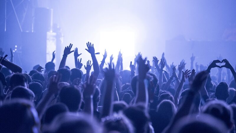 Muzyczna uczta w sercu Wrocławia: Recital organowy w bazylice św. Elżbiety