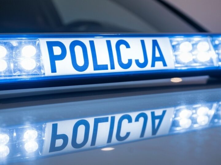 Porzucony husky w kopalni – 36-latek stanie przed sądem za znęcanie się nad zwierzęciem