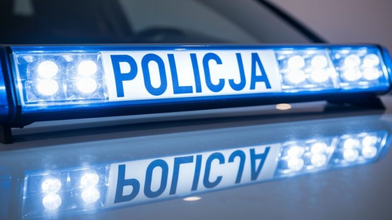 Porzucony husky w kopalni – 36-latek stanie przed sądem za znęcanie się nad zwierzęciem