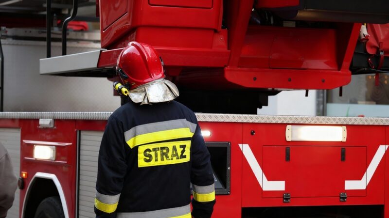 Poważny wypadek we Wrocławiu: Tramwaj zderzył się z busem, pięć osób rannych