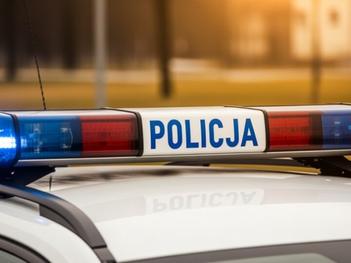 Zatrzymany właściciel nielegalnej plantacji konopi w Karkonoszach