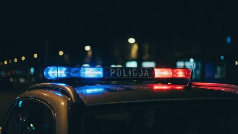 Młody mężczyzna aresztowany za przestępstwa seksualne wobec nieletnich