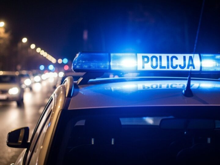 Zatrzymani złodzieje aut azjatyckich marek w akcji policji i straży granicznej
