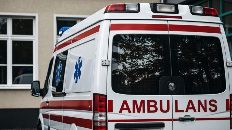 Sukces ratowników: 78-latek odnaleziony po grzybobraniu na Dolnym Śląsku