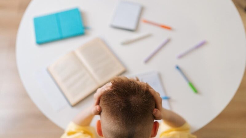 Wrzesień z miejskim stylem: Nowości od MPK dla młodych uczniów!