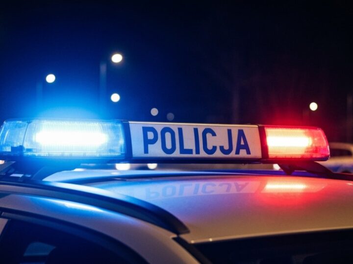 Kobieta bez prawa jazdy wpadła z narkotykami i skradzionymi tablicami rejestracyjnymi