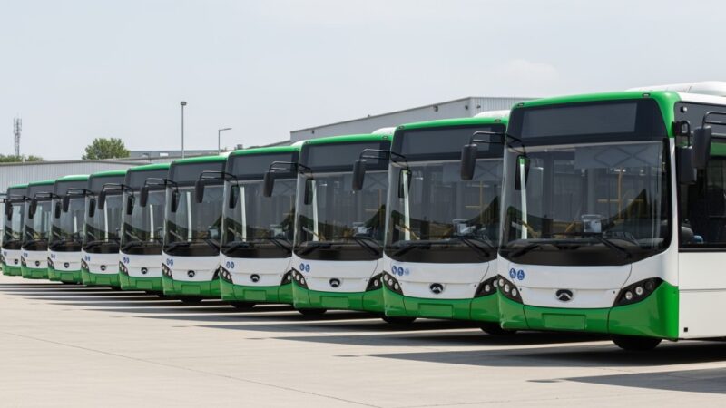 Odkryj tajemnice komunikacji miejskiej we Wrocławiu!