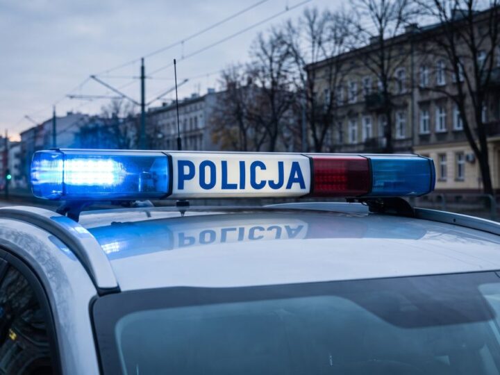 Zwolnij na drodze, aby wrócić bezpiecznie tej jesieni