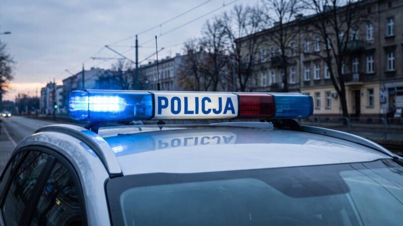 Zwolnij na drodze, aby wrócić bezpiecznie tej jesieni