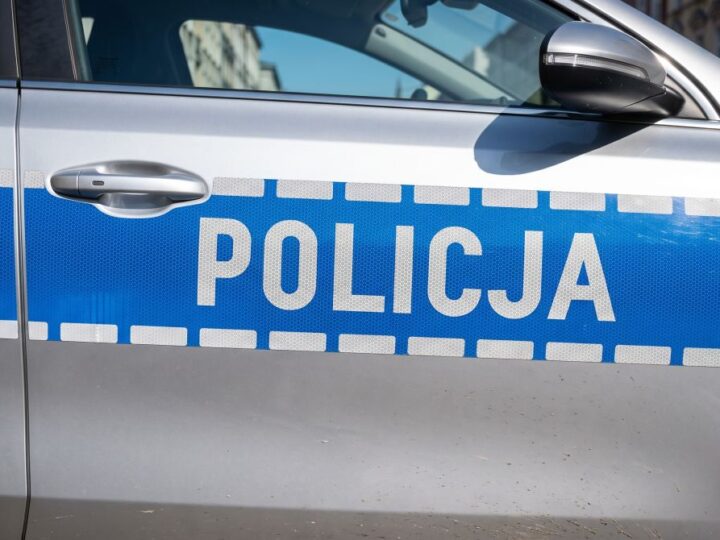 Brutalny atak na szczeniaka: Świadkowie uratowali psa i zatrzymali sprawcę