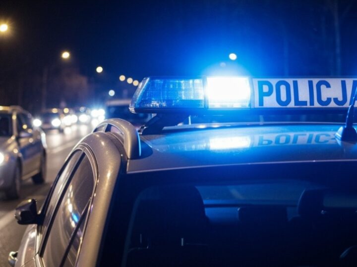 Policjanci ratują kaczkę: Bohaterska interwencja w Wałbrzychu!