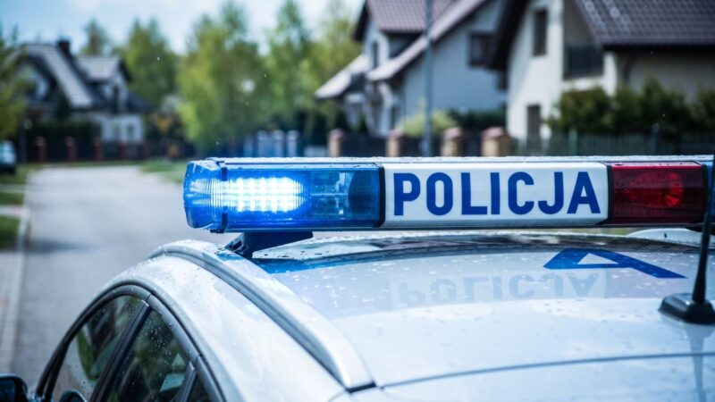 Ukradł kable służące do ładowania samochodów elektrycznych. 33-latek w rękach oławskich policjantów